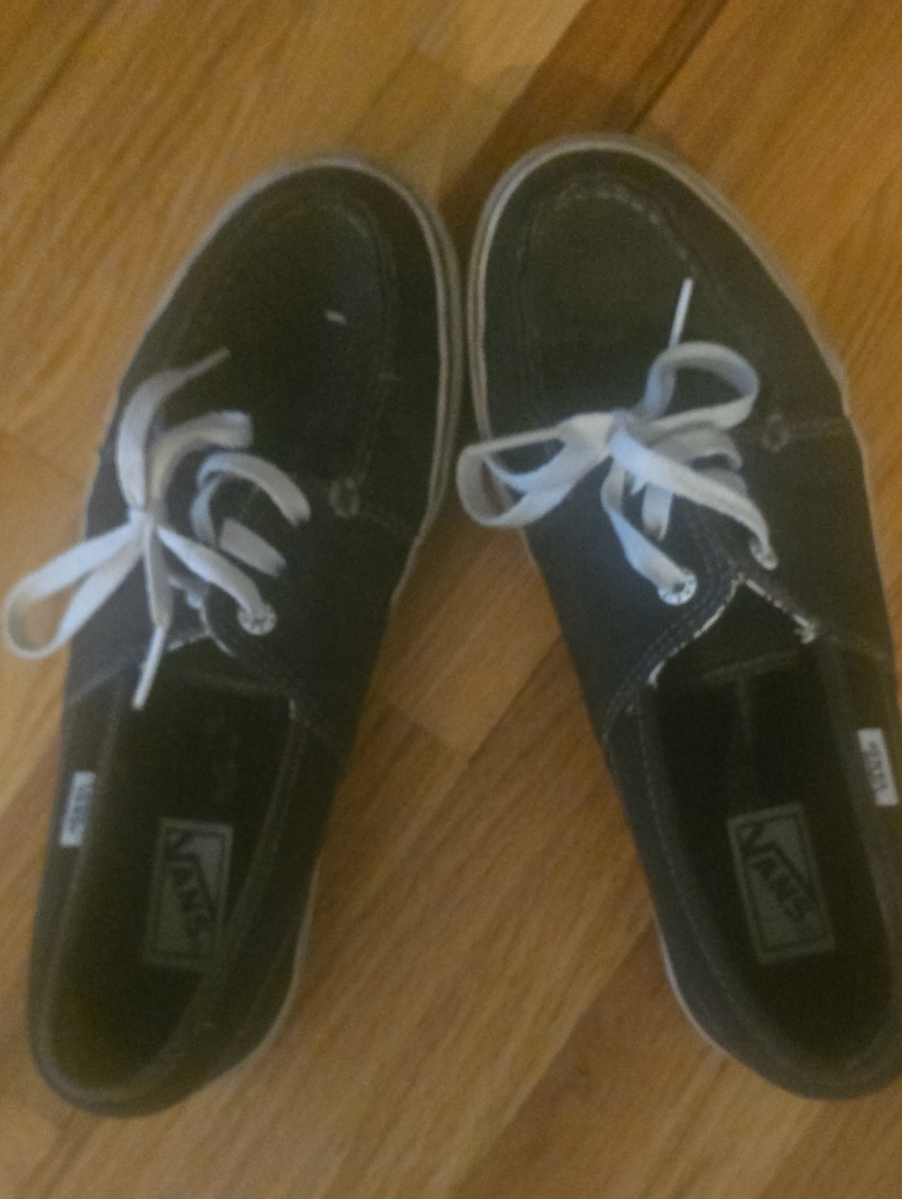 Vans Black Canvas Low-Top Sneakers with White Laces